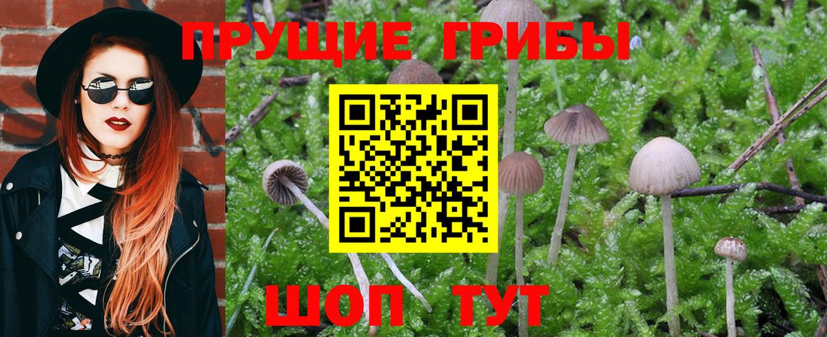 Воронеж  дарнет шоп  Вход с VPN  Галлюциногенные грибы Psilocybine cubensis  Псилоцибиновые грибы прущие грибы 