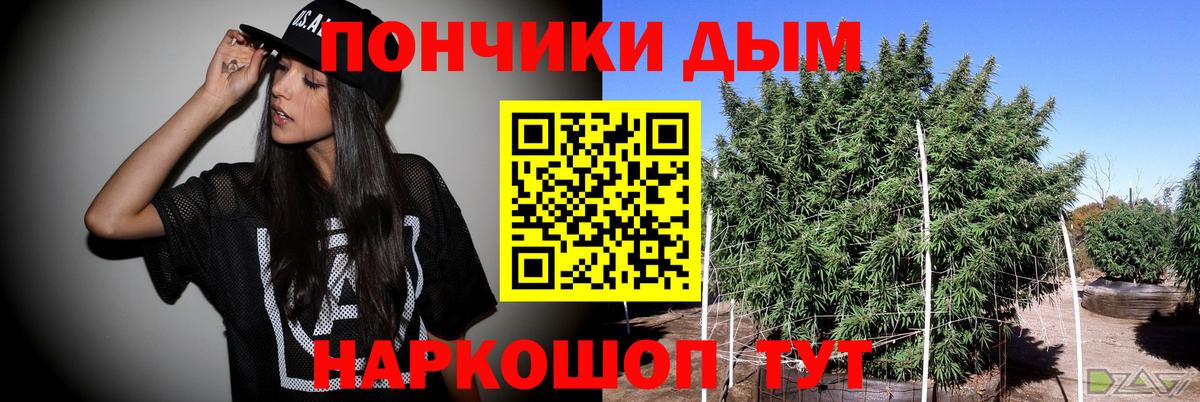 Бошки Шишки THC 21%  Вход с VPN  Воронеж  Бошки Шишки планчик  Канабис White Widow 